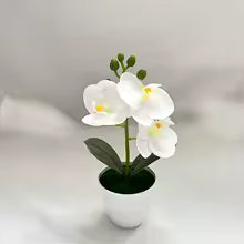 Artificial Orchid Potted Plant 3 Heads Mini Phalaenopsis Fake Flower Plastic Home Living Room Decoration